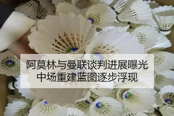 阿莫林与曼联谈判进展曝光 中场重建蓝图逐步浮现