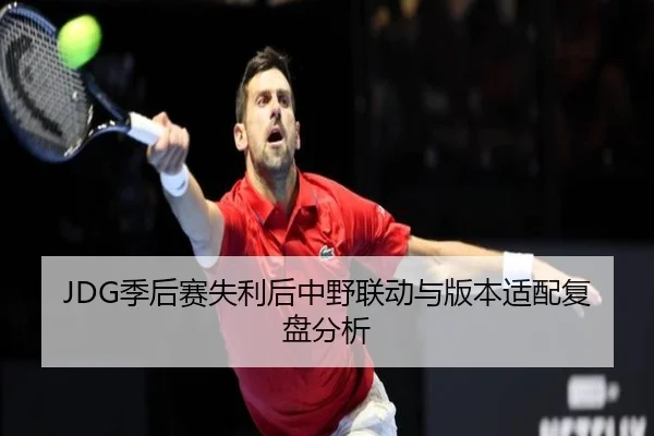 JDG季后赛失利后中野联动与版本适配复盘分析